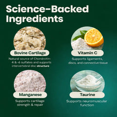 VetriScience Healthy Spine & Disc: polvo sin sabor en plato para mezcla.