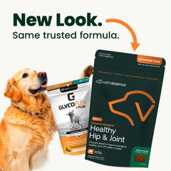 VetriScience GlycoFlex glucosamina y MSM, apoyo para articulaciones de perros.