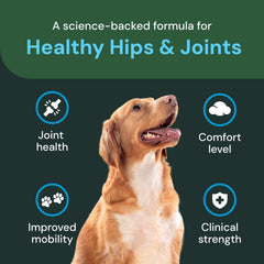 VETRISCIENCE masticables ingredientes clave: fórmula avanzada para bienestar articular