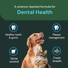 VETRISCIENCE polvo dental aliento más fresco tras la alimentación.