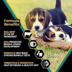 VICTOR Classic Hi-Pro con DHA para desarrollo cerebral en cachorros.