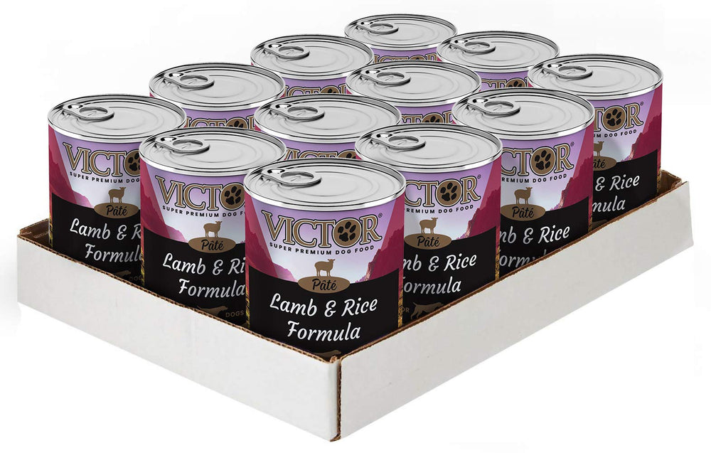 VICTOR Lata abierta pate cordero arroz: textura suave para perros activos.