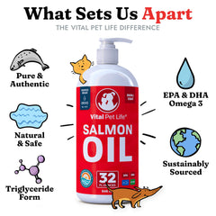 Vital Pet Life producto para articulaciones y huesos, soporte suave en movilidad diaria.