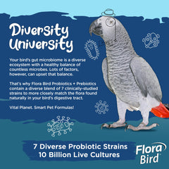 Vital Planet Flora Bird: mezcla en comida para uso diario de aves.