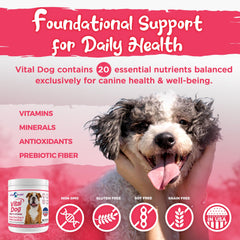 Vital Planet Vital Dog perro disfruta del sabor carne al comer.