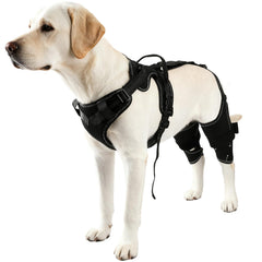 Arnés Vivifying con soporte trasero para movilidad de perro