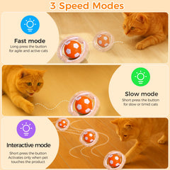 VIWIK Juego escondite para gatos con pelotas vibrantes