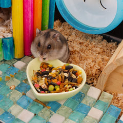 Tazón de agua para hamster en cerámica purpura, diseño antivuelco para mayor seguridad.