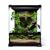 Waazoorep mini-terra reptil cristal 8x8x10 con visión frontal clara para observar al animal.