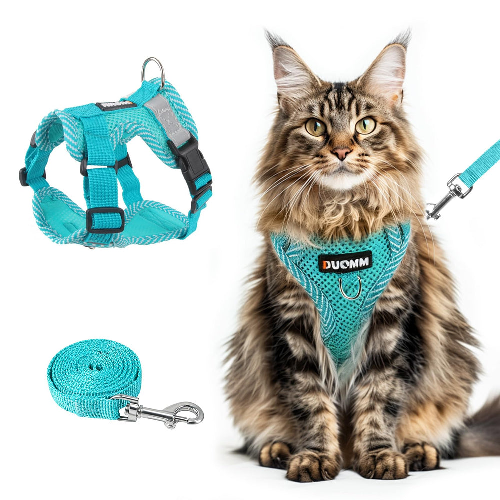 Arnés Wanheart con hebilla doble para gatos brinda seguridad en paseos.