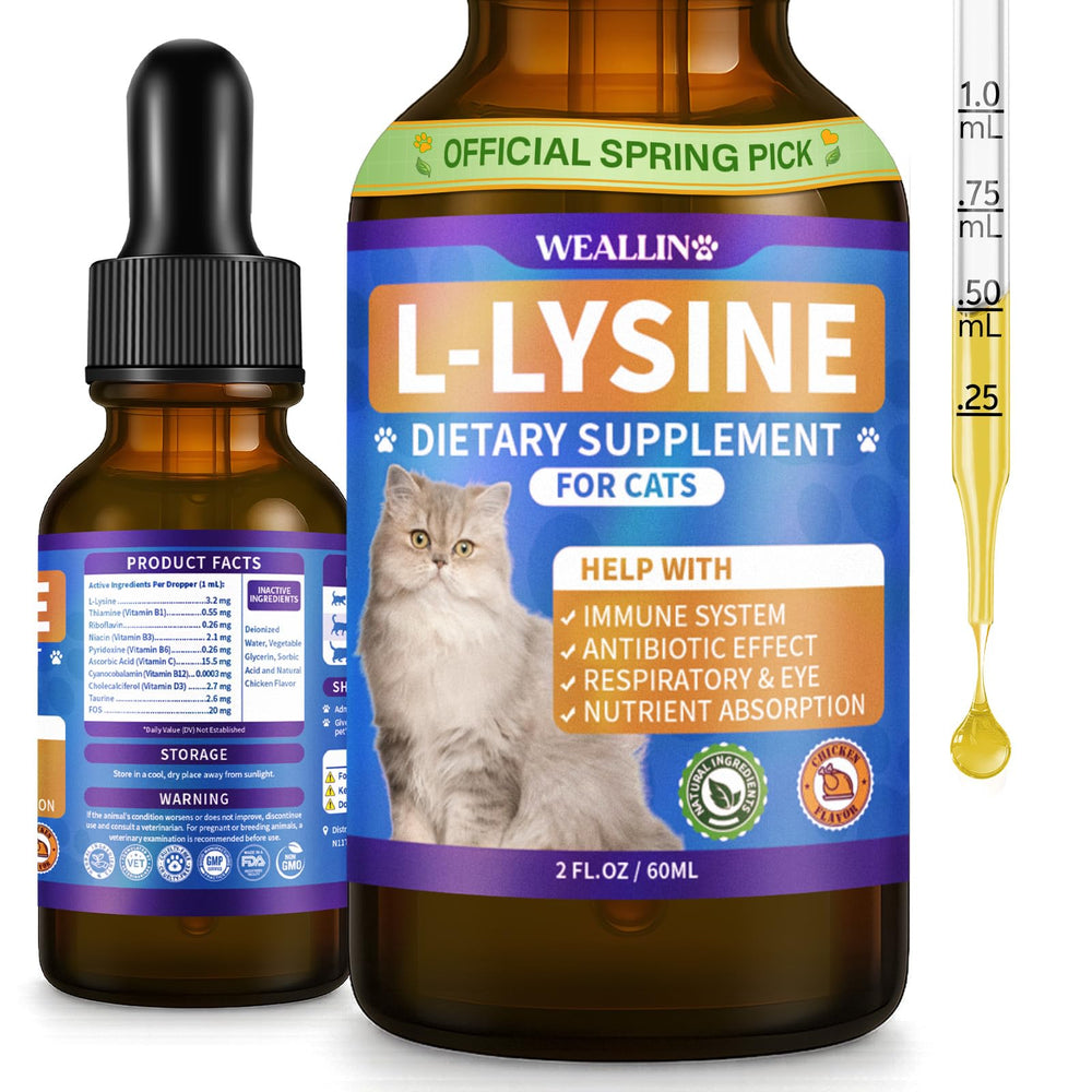 WEALLIN Lisina para gatos, frasco de gotas para apoyo inmunitario diario.