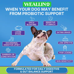 WEALLIN probióticos para perros gomitas para piel saludable y menor picor.