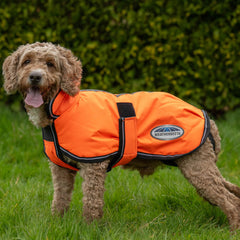 WeatherBeeta ComFiTec Reflective Parka interior cálido: confort para el perro