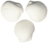 Weco Wonder Shell de concha decorativa para acuarios, oxigena el agua y aporta calcio para caparazones