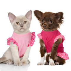 Weewooday Love Angel, outfit diario para mascotas, ideal para fiestas.