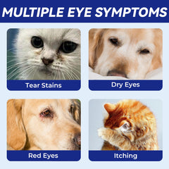 Bienestar ocular diario con Wellix para perros y gatos en casa.