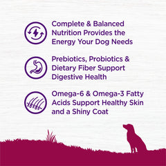 Wellness Complete Health antioxidantes y probióticos para apoyar la inmunidad y la digestión.