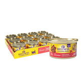 Wellness Complete Health Gravy lata abierta para gusto natural