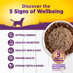 Wellness Complete Health: textura paté suave para perros que prefieren comida suave.