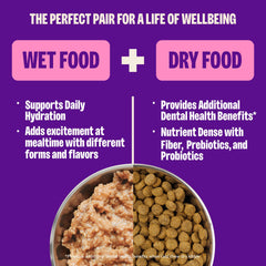 Wellness Complete Health Pate sin granos para dieta equilibrada.