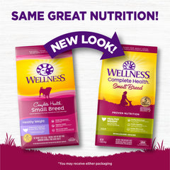 Wellness Complete Health: proteína alta con pavo y arroz para energía sostenida.