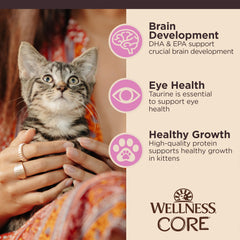 Wellness CORE, pack de 12 bolsitas, opción conveniente para gatitos.