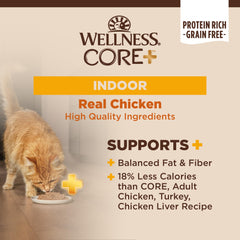 Wellness CORE+ Indoor Pate para gatos, contiene atún y tilapia para nutrición equilibrada.