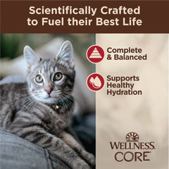 Wellness CORE Tiny Tasters, textura picada atractiva para gatos curiosos y paladares exigentes.