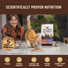 Wellness CORE+ Pate envase 12 latas, opción conveniente para dueños