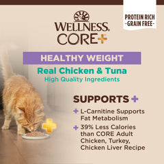 Wellness CORE+ Pate textura cremosa para felinos que comen con facilidad