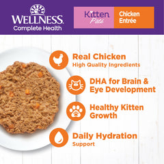 Wellness paté gatito textura cremosa: sabor suave que facilita la aceptación.
