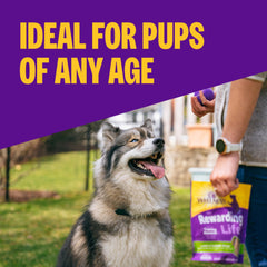 Wellness Rewarding Life: entrenamiento sin granos para perros activos
