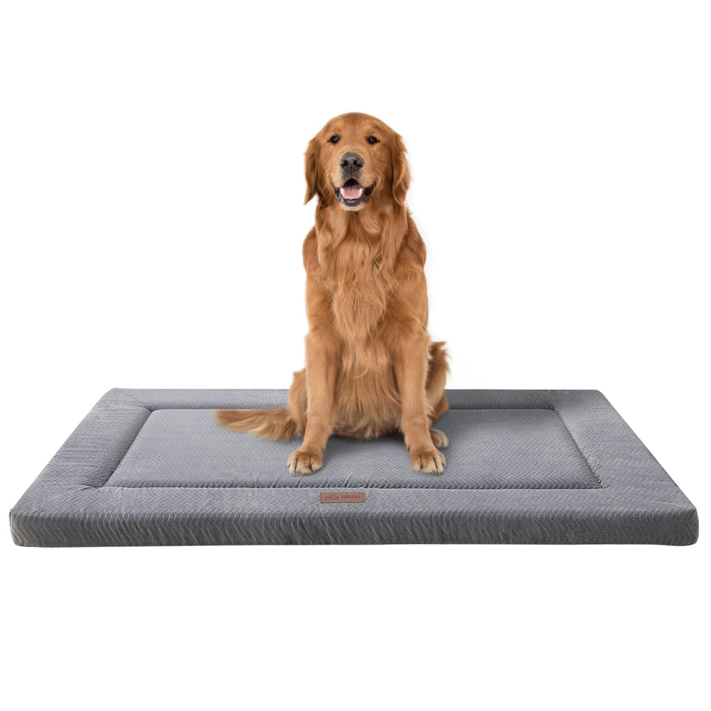 Cama WESTERN HOME para jaula con espuma de alta resiliencia para descanso estable