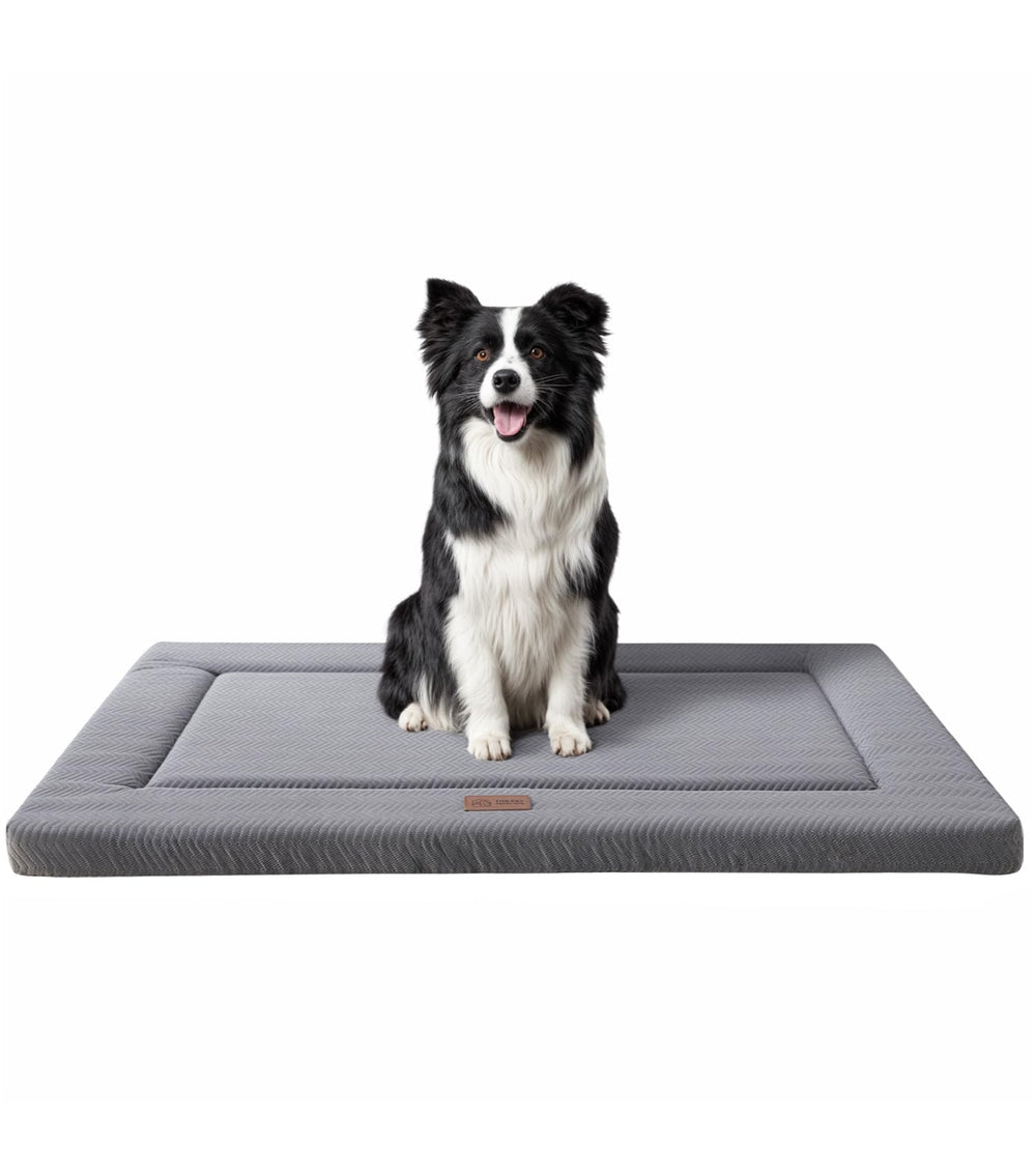 Western Home cama para perros en jaula: vista general para descanso cómodo.