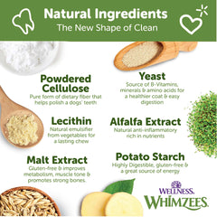 Whimzees Wellness Alligator, primer plano de masticación, promueve aliento más fresco.