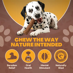 WhiteTail Naturals asta ciervo sin olor, ideal para uso en interiores