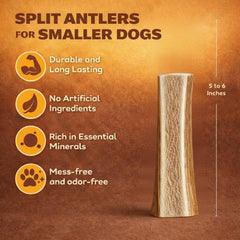 WhiteTail Naturals astas divididas con interior rico en nutrientes para mordedores moderados
