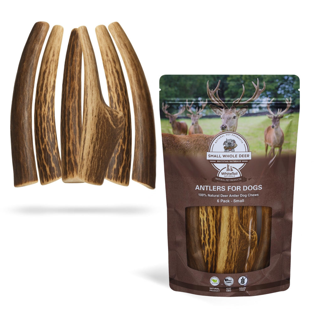 WhiteTail Naturals cuernos para perro, seis piezas, duraderos para razas pequeñas.
