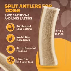 WhiteTail Naturals proceso ético de selección, antler natural sin aditivos.
