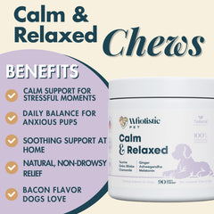 Perro calmado durante el viaje en coche gracias a Wholistic Pet Calm & Relaxed.