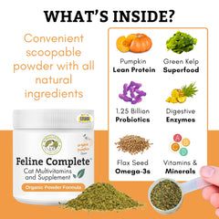 Wholistic Pet Organics Feline Complete Organic Pumpkin, textura polvo naranja, complemento nutritivo para pelaje brillante.