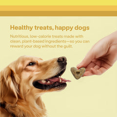 Wild Earth Premios prebióticos: apoyo digestivo natural para perros.