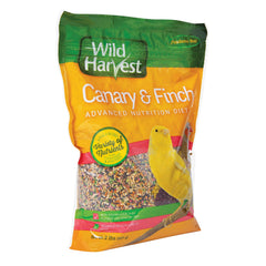 Wild Harvest Advanced Nutrition para canarios y jilguero: primer plano de semillas para forraje natural