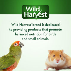 Wild Harvest sabor a fruta y textura atractiva estimulan la actividad oral.