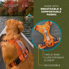 Wilderdog arnés ligero con asa superior para asistencia al terreno.
