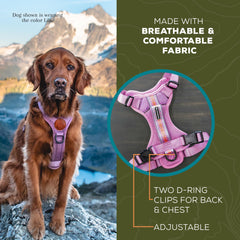 Arnés Wilderdog con asa superior para control cercano.