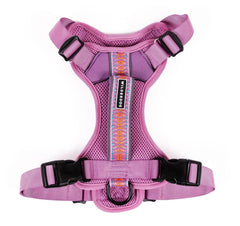 Arnés Wilderdog ligero para perro en lila, ideal para paseos diarios.