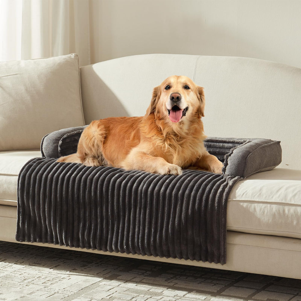 Windracing cama-perro lujo, cómodo y seguro para siestas en casa