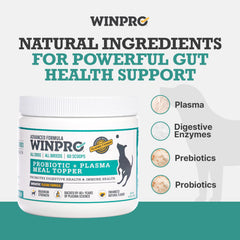 WINPRO plasma ayuda a perros mayores a mantener hábitos alimentarios consistentes.
