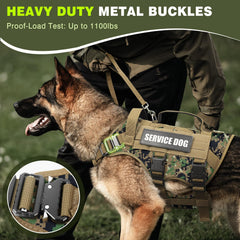 Parches identificativos WINSEE para personalizar al perro.